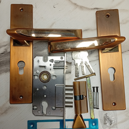 SAK TitanCore Gold Lockset