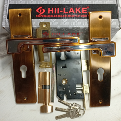 HII-LAKE GoldGuard Elite Door Handle